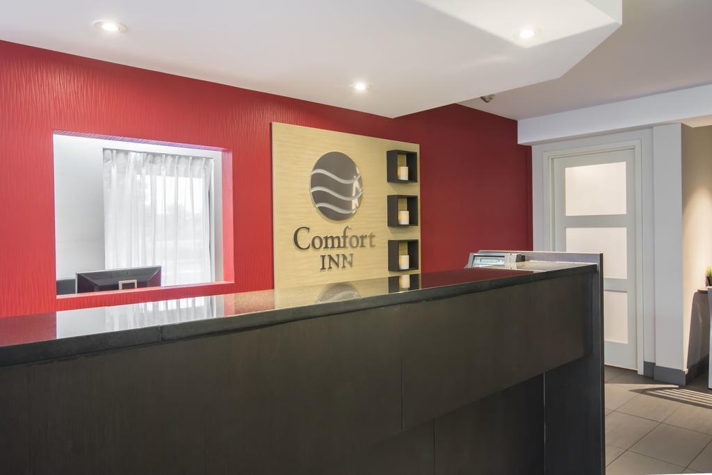 Comfort Inn Airport East Québec Eksteriør billede